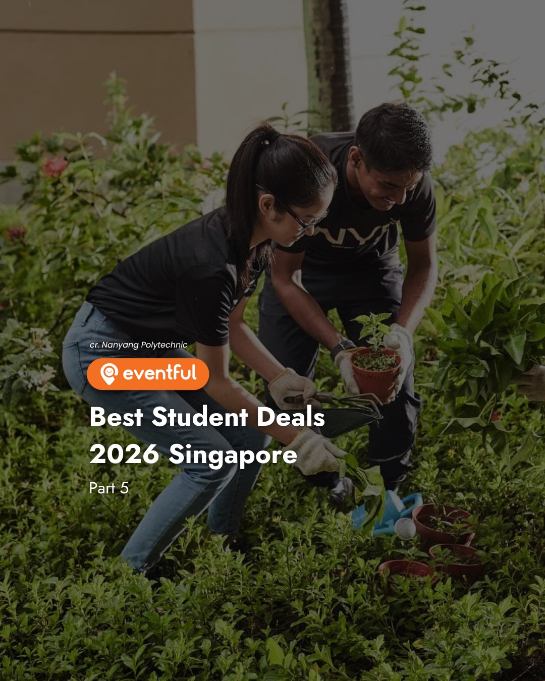 Student Deals Singapore 2026: Flights, Adobe, Office and Laptops