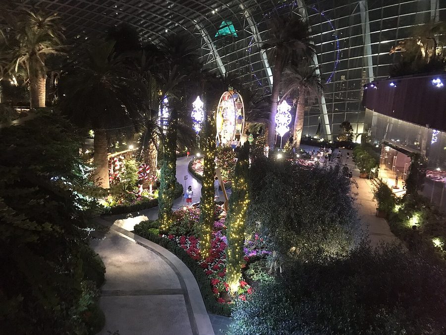 The Flower Dome lit up with a Christmas display at night