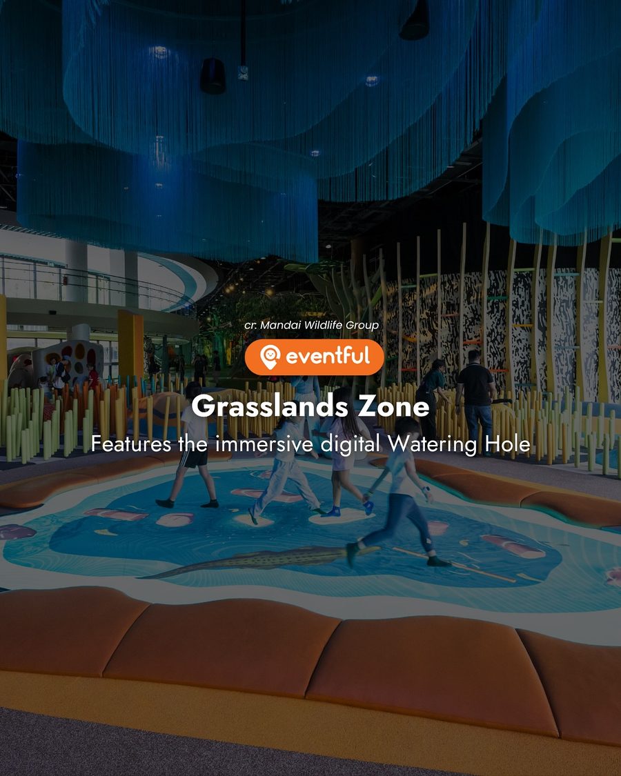 The Drylands zone at Curiosity Cove, with children climbing through a giant yellow snake belly