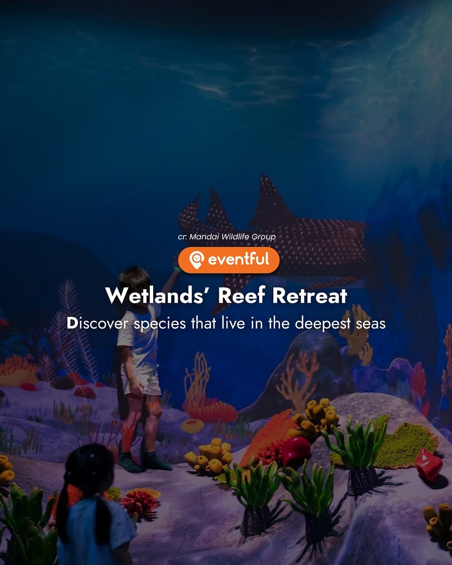 Children at Reef Retreat in Curiosity Cove, with a whale shark mural and soft coral shapes