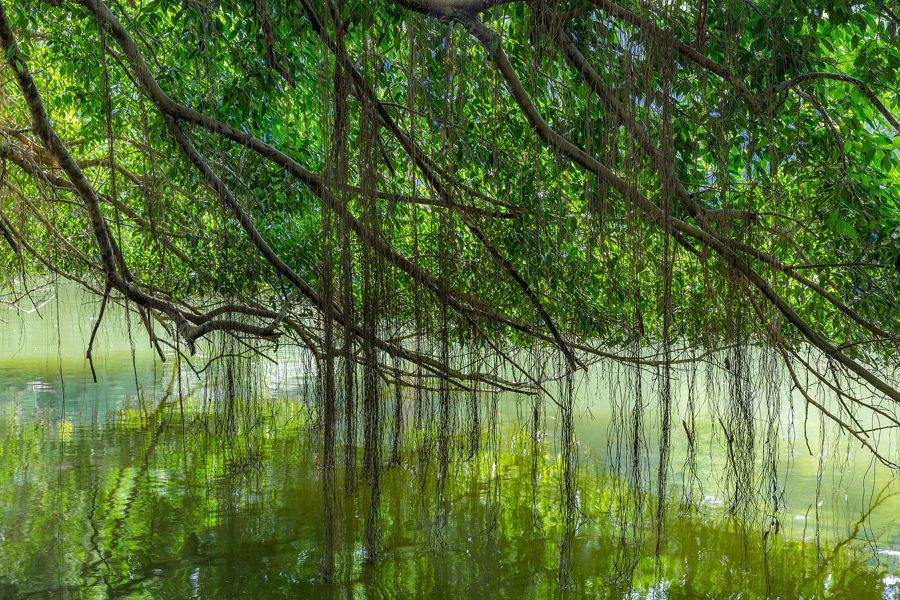 Free Things to Do in Singapore 2026: 20 Picks, Most Free for Everyone
