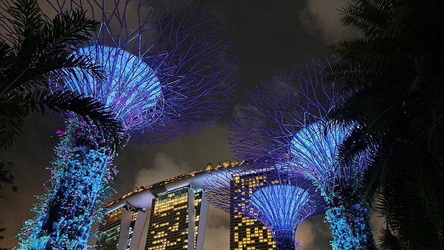 Where to Go in Singapore for Couples (2026): 10 Dates by Budget