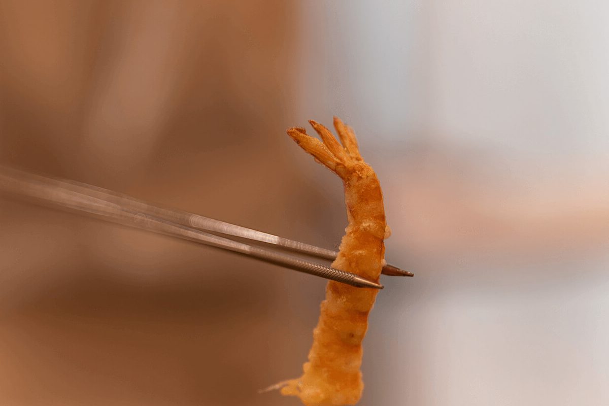 A prawn tempura held up by chopsticks at Tenshima