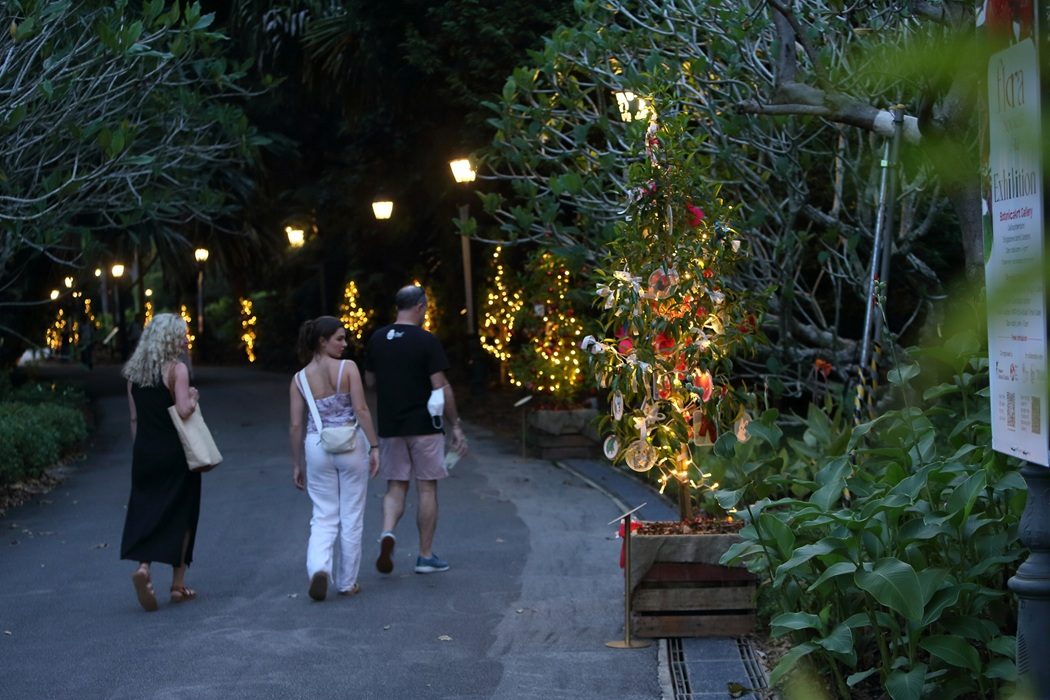 Decorated trees with warm lights lining a path at Singapore Botanic Gardens in the evening