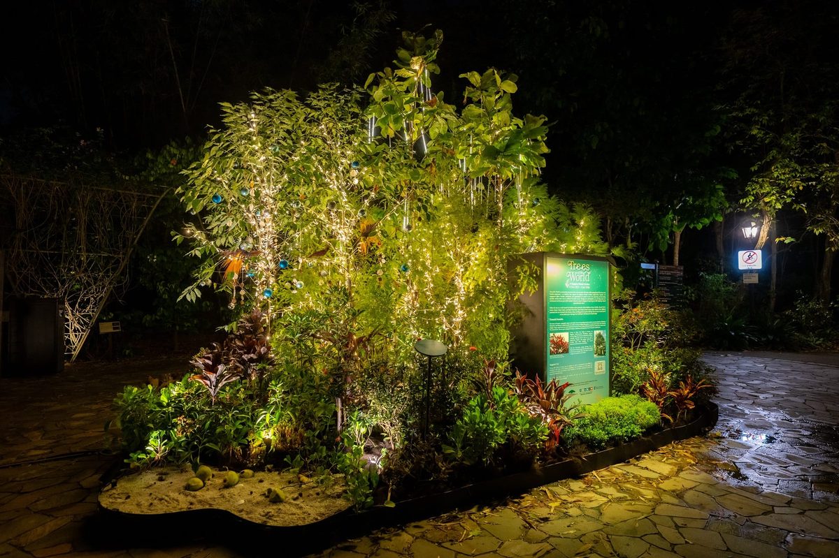 A lit festive display at night near Bukit Timah Gate, Singapore Botanic Gardens