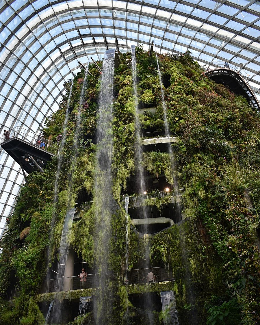 Waterfall and plant-covered mountain inside the Cloud Forest dome