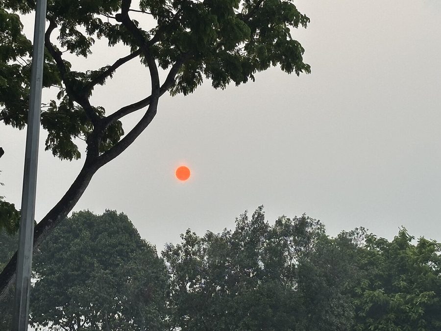 An orange sun through grey haze over trees in Bukit Timah