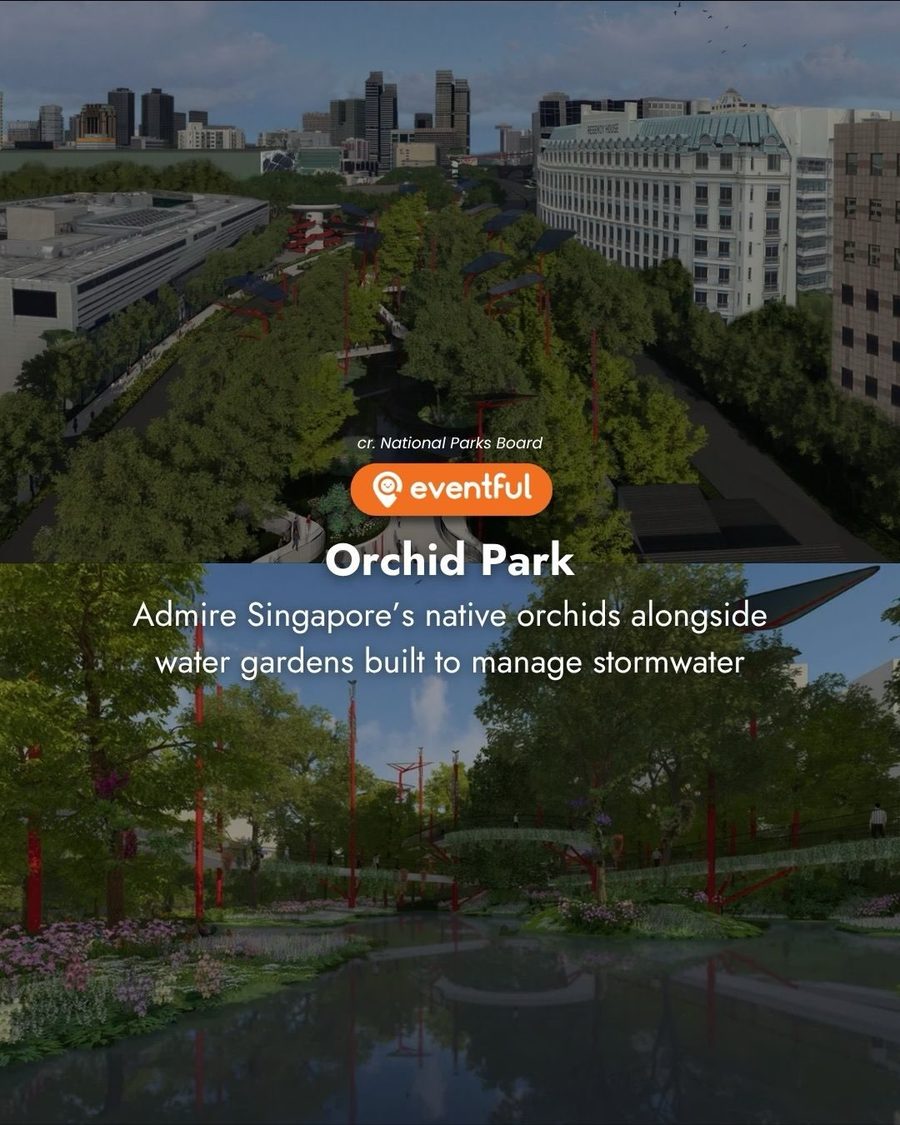 NParks render of the proposed Orchid Park with native orchids and water gardens