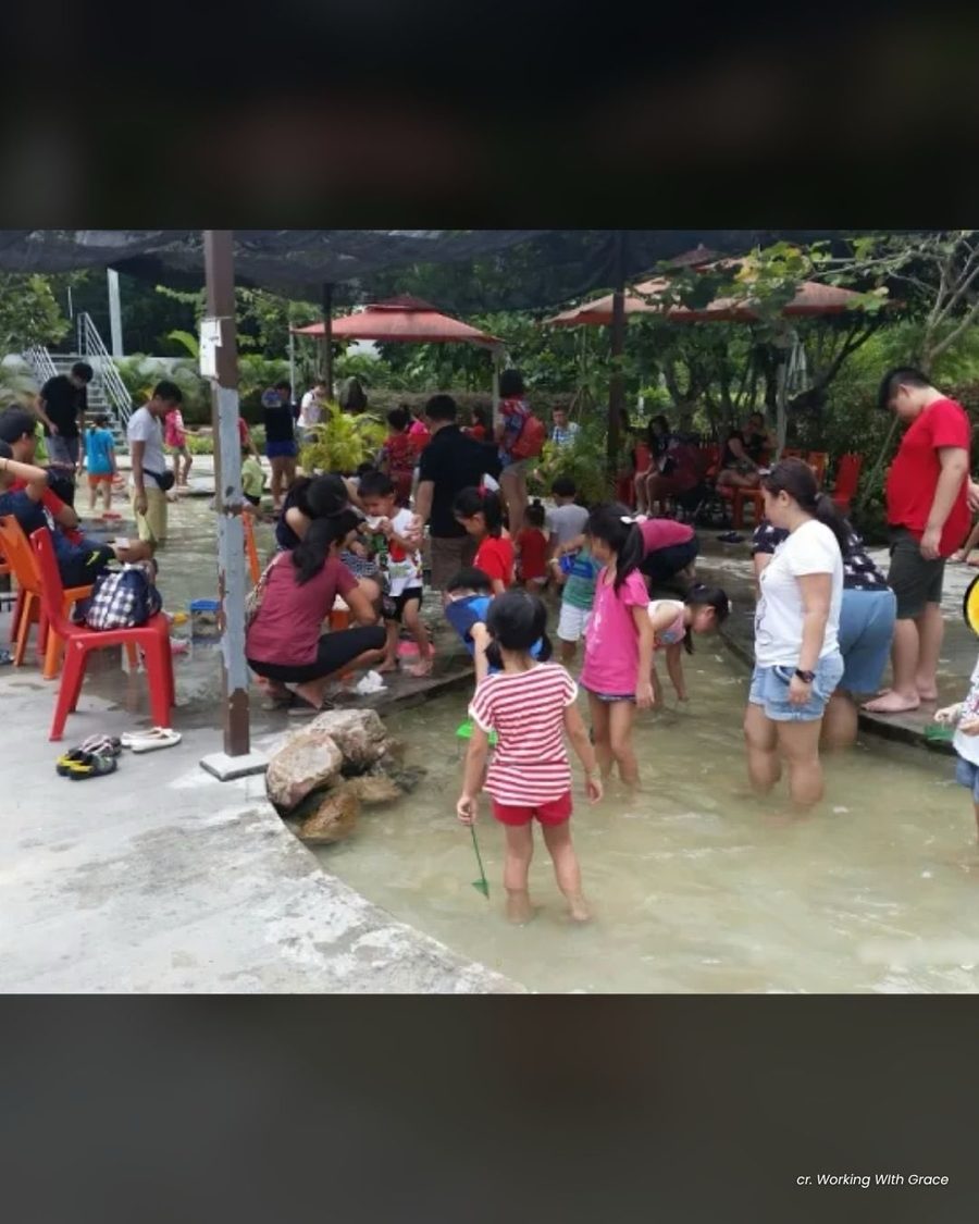 Children wading in the shallow longkang fishing stream at ORTO Yishun