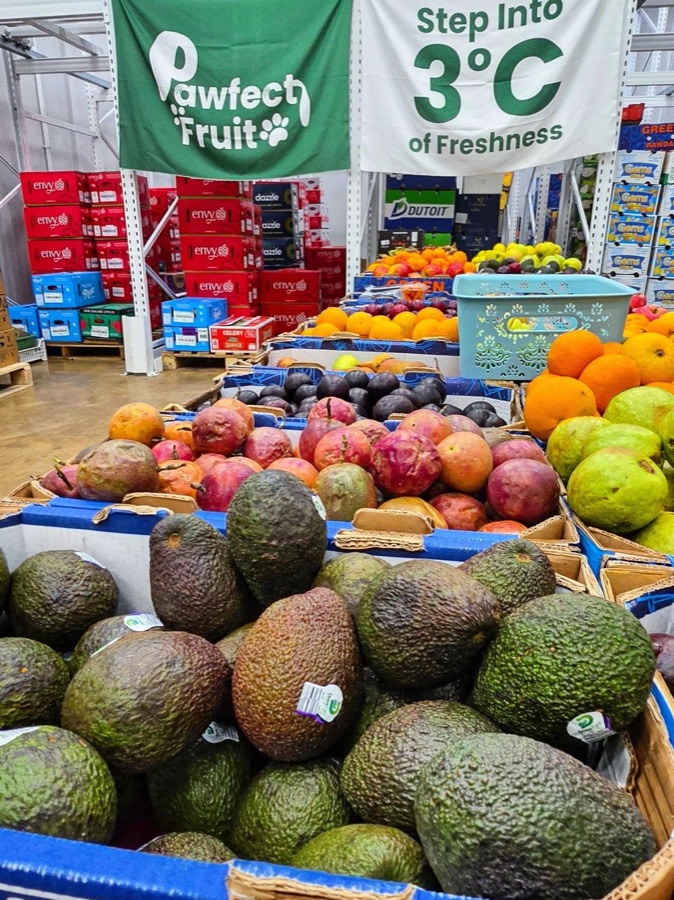 Inside the Pawfect Fruit warehouse at Hillview: crates of avocados, passionfruit, oranges and plums under the Step Into 3 Degrees of Freshness banner