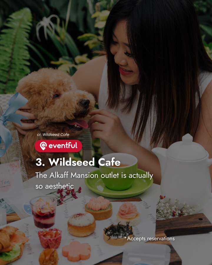 A woman with a poodle at an outdoor table at Wildseed Cafe with pastries and tea