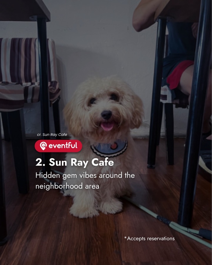 A small fluffy dog sitting under a table at Sun Ray Cafe