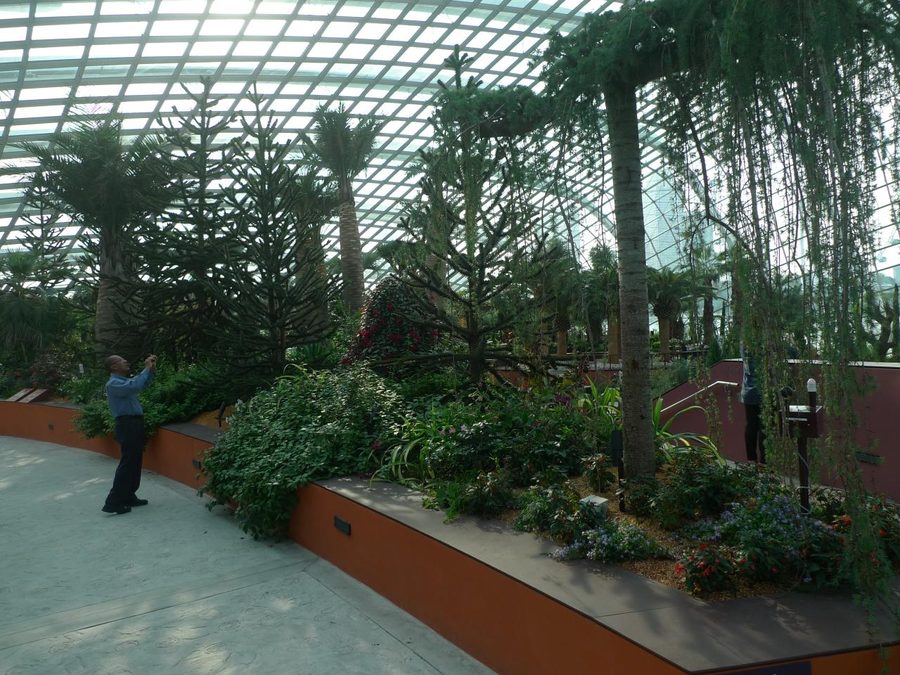 Plants and walkways inside the Flower Dome at Gardens by the Bay