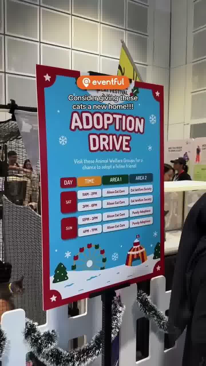 Adoption drive board at the Singapore Cat Festival Christmas Cat Carnival at Suntec