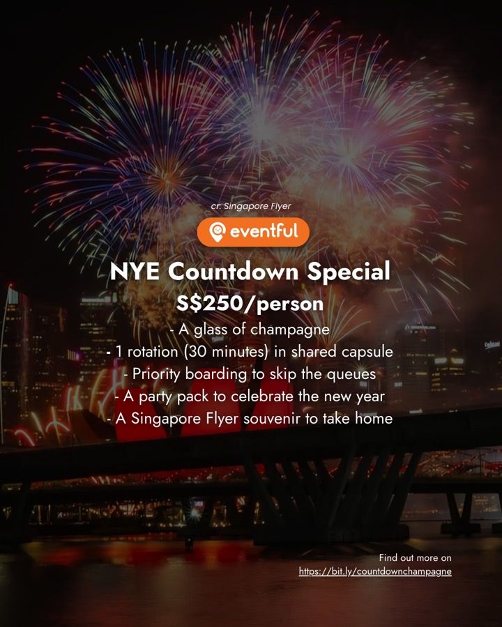 Our slide listing what the Singapore Flyer NYE Countdown Special included for $250 a person