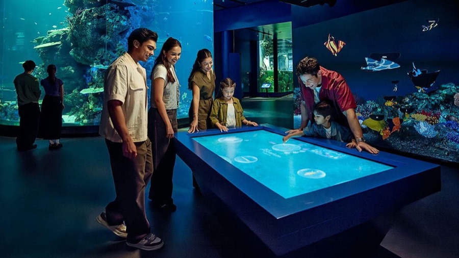 Families at an interactive touch table in one of the Singapore Oceanarium's habitat zones