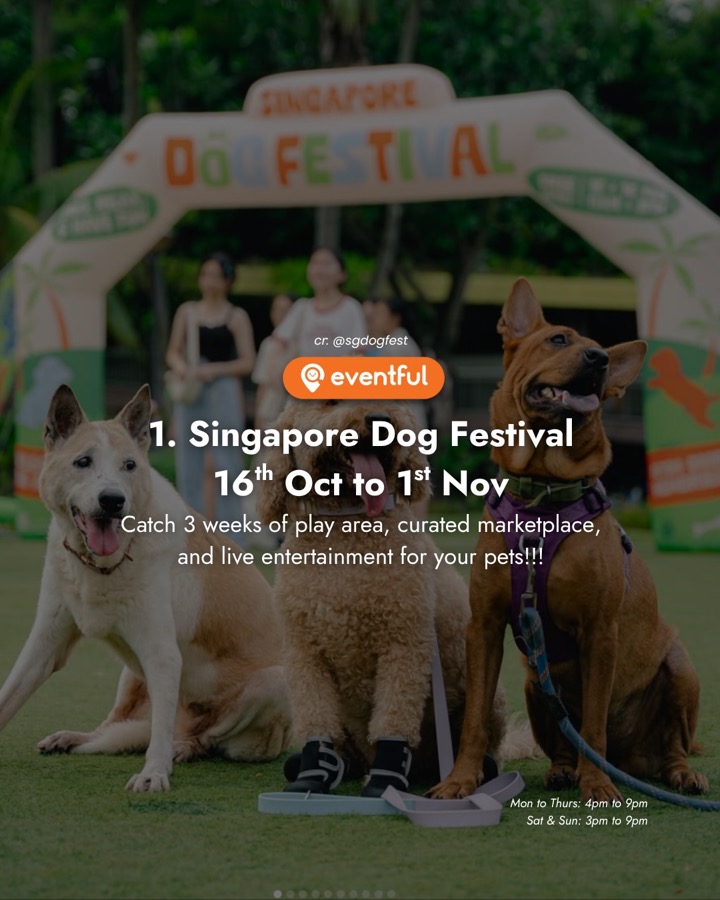 Three dogs sitting in front of the Singapore Dog Festival entrance arch
