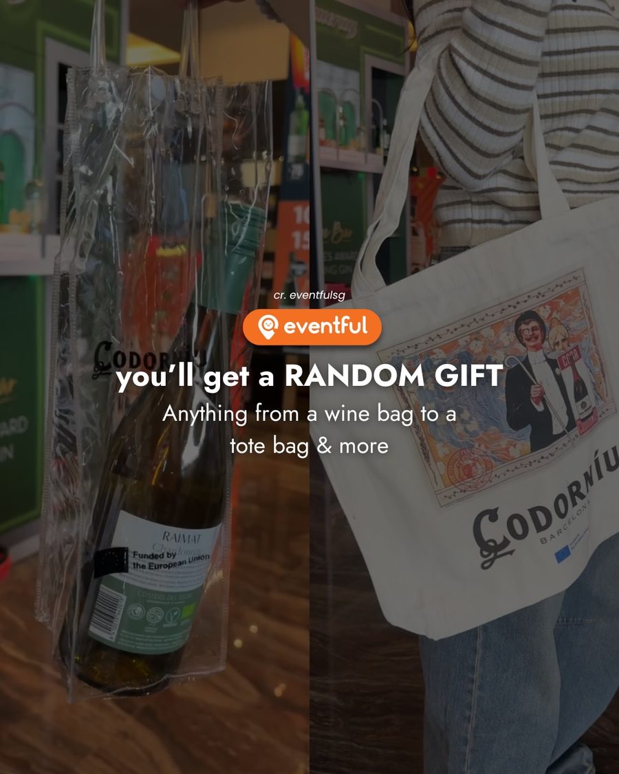 A clear wine bottle bag and a Codorniu canvas tote bag, examples of the random gift in the Wine Mystery Box