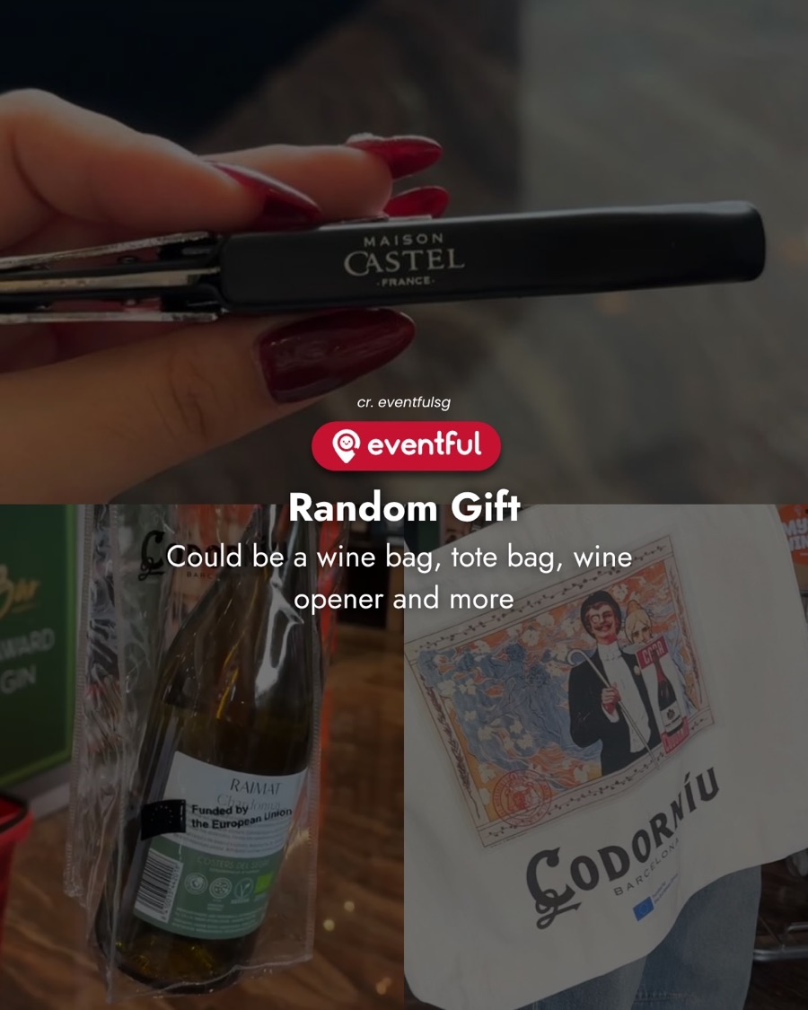A black Maison Castel wine opener held in hand, a wine bottle in a bag and a Codorniu tote bag, examples of the random gift